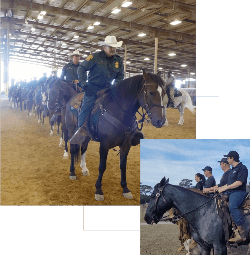 A group of riders on horses indoors in a line.