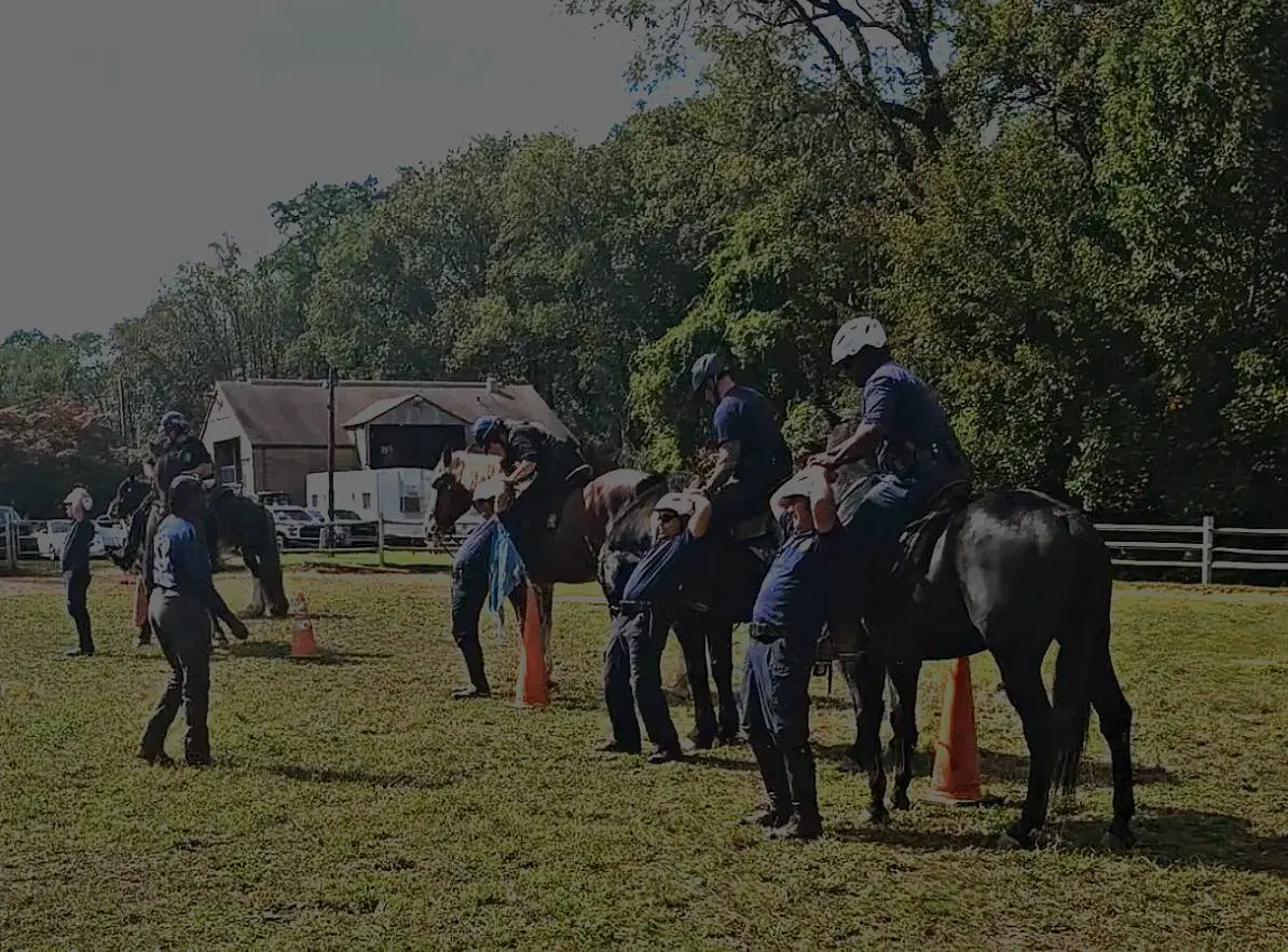 People riding horses in a sunny park with trees and a house in the background.