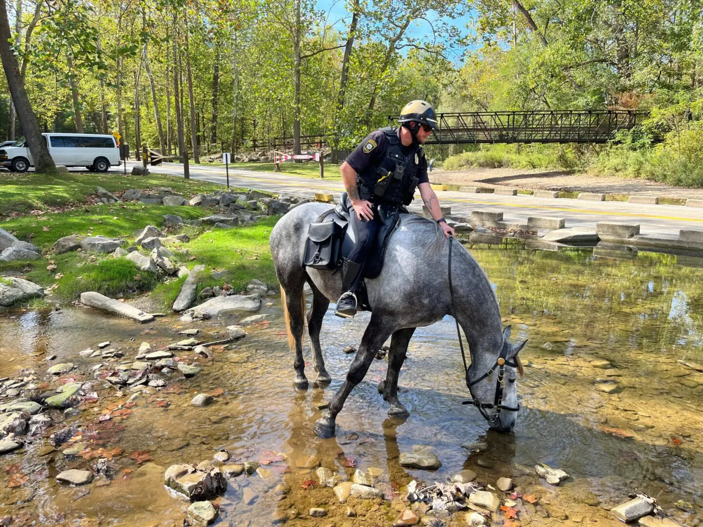 Person sitting on a horse drinking water from a stream.
