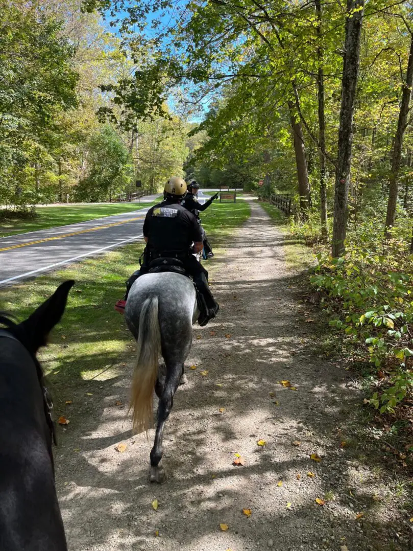 Person riding a horse on a wooded trail alongside a road.