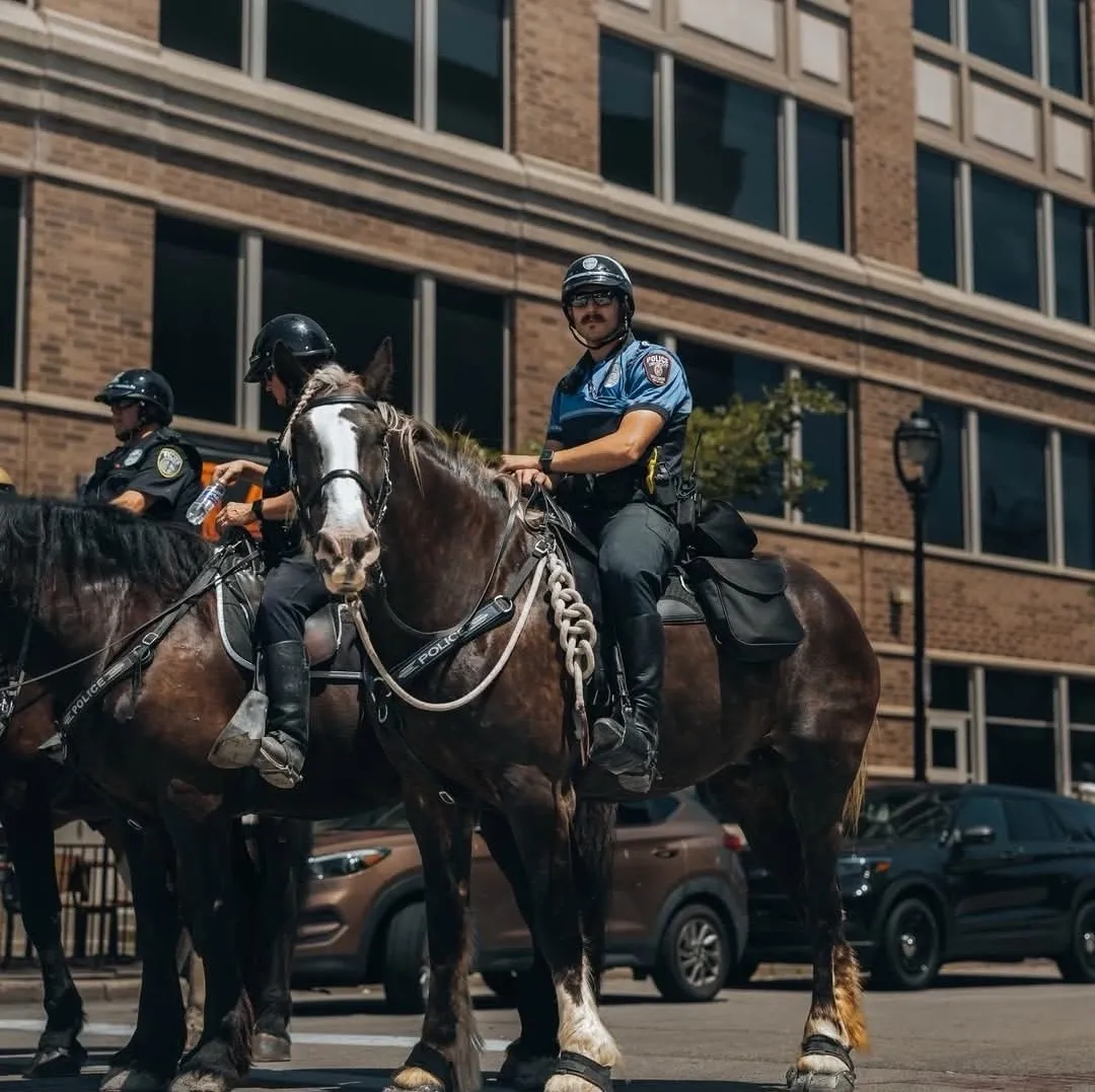 Police officers on horseback in urban setting.