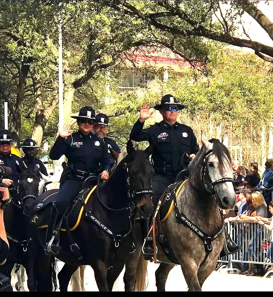 Mounted police officers on horseback during an outdoor event.