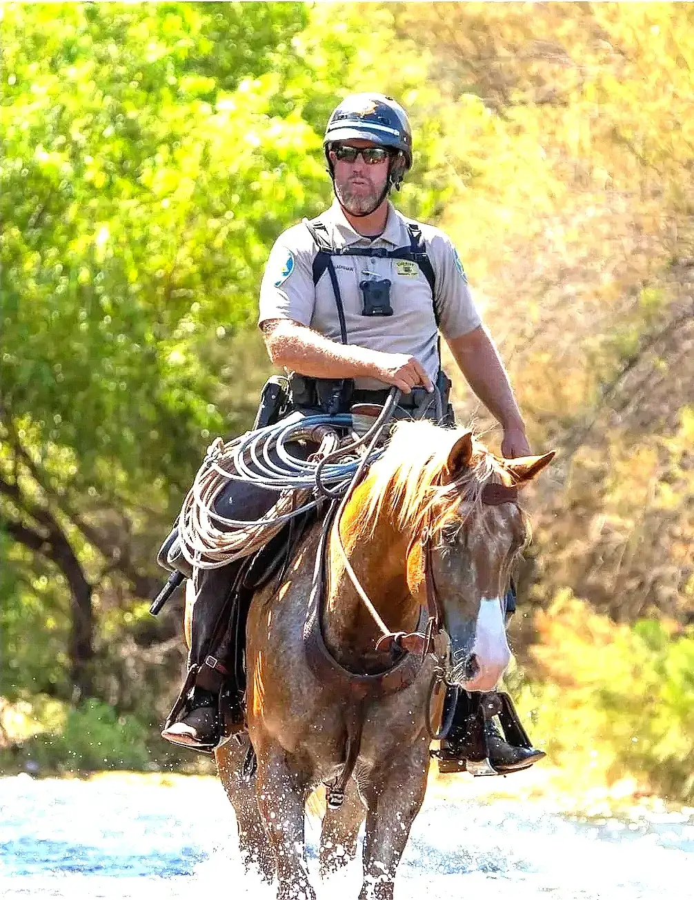 Man riding a horse in a sunny forested area.