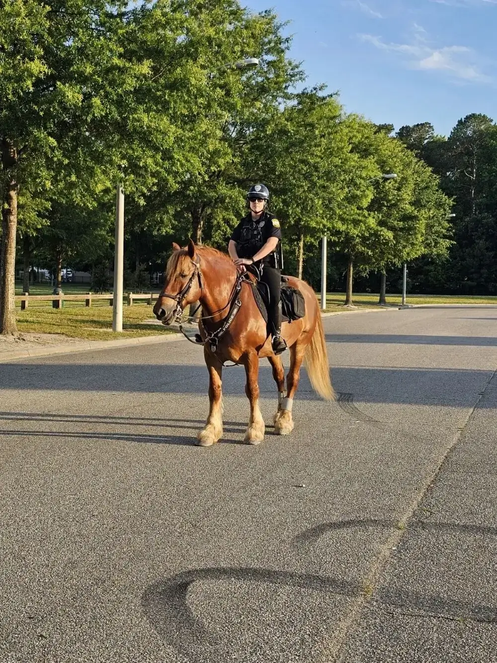 Person riding horse on a sunny day.